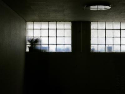 photograph “XII.2012” par David Farreny — www.farreny.net — France, pièce, room, sombre, dark, fenêtre, window, lumière, light, verre, glass, coin, corner, angle, éclairage, lampe, lamp, lighting, plafond, ceiling, obscurité, darkness, plante, plant, pot, pots, végétation, vegetation, Occitanie, Aveyron, Rouergue, Rodez