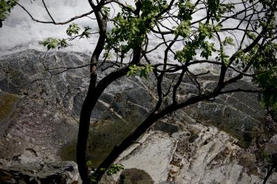 photograph “VI.2019 — Run away to the North, 195” par David Farreny — www.farreny.net — Norvège, Norway, Norge, Sogn og Fjordane, Stryn, Hjelle, Øvstefoss, cascade, waterfall, eau, water, rocher, rock, arbre, tree, branches, feuilles, leaves, feuillage, foliage, nature, tronc, trunk