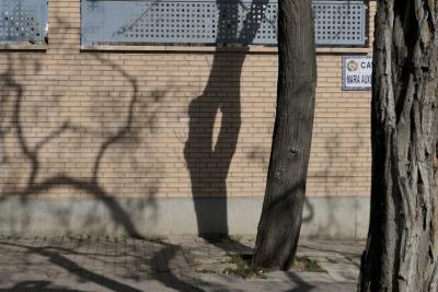 photograph “III.2023” par David Farreny — www.farreny.net — Espagne, España, Spain, Aragón, Aragon, Saragosse, Zaragoza, Caesaraugusta, Delicias, ville, city, métal, metal, ombres, shadows, plaque, plate, rue, street, Ca, Maria Auxi, arbres, trees, troncs, écorce, bark, trunks, branches, clôture, fence, dallage, paving, pierre, stone, brique, brick