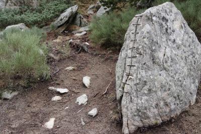 photograph “X.2023 — Brain mass (III)” par David Farreny — www.farreny.net — France, Occitanie, Pyrénées-Orientales, Font-Romeu-Odeillo-Via, Font-Romeu, Musée sans murs, art, sculpture, rocher, rock, couture, suture, sewing, agrafes, staples, ground, soil, sol, terre, earth, cailloux, pebbles, racine, root, végétation, vegetation