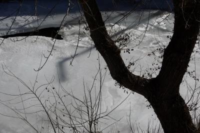 photograph “II.2023” par David Farreny — www.farreny.net — Andorre, Andorra, Canillo, hiver, winter, rivière, river, Valira d'Orient, glace, ice, eau, water, trou, hole, arbre, tree, tronc, trunk, branches, poteau, post, pole, ombre, shadow, lampadaire, lamp, rambarde, guardrail, froid, cold