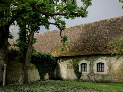 photograph “IV.2012” par David Farreny — www.farreny.net — France, carte postale, postcard, maison, house, arbres, trees, toit, roof, toiture, roofing, tuiles, tiles, jardin, garden, fenêtres, windows, lierre, ivy, mur, wall, pierre, stone, Touraine, Val de Loire, Indre-et-Loire, Chenonceaux, Chenonceau, château, castle