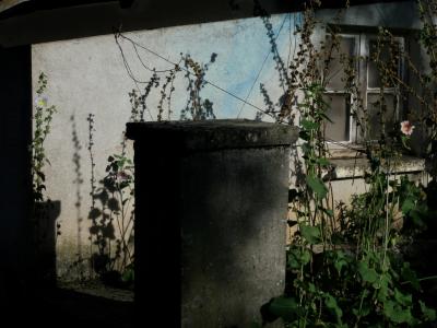 photograph “X.2014” par David Farreny — www.farreny.net — France, maison, house, ciment, cement, fenêtre, window, lierre, ivy, fleur, flower, feuilles, leaves, mur, wall, profusion, Occitanie, Aveyron, Rouergue, Olemps