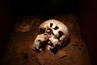 photograph “VIII.2009” par David Farreny — www.farreny.net — crâne, skull, mort, death, dead, terre, earth, soil, tête, head, France, Aquitaine, Charente, Angoulême, musée des Beaux-Arts