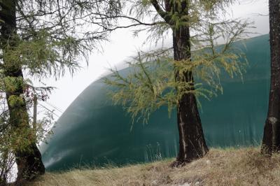 photograph “X.2023” par David Farreny — www.farreny.net — France, Occitanie, Pyrénées-Orientales, Font-Romeu-Odeillo-Via, Font-Romeu, structure, bâche, sheet, plastique, plastic, turquoise, bleu, blue, vert, green, arbres, trees, pin, pine tree, résineux, resinous, branches, feuillage, foliage, herbe, grass, câbles, cables, fils, wires