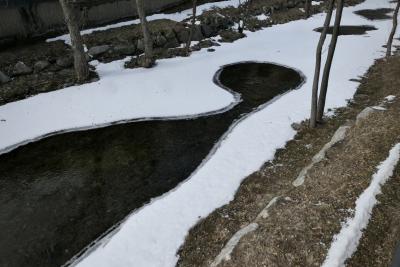 photograph “II.2023” par David Farreny — www.farreny.net — Andorre, Andorra, Canillo, rivière, river, Valira, Valira d'Orient, hiver, winter, eau, water, glace, ice, rive, shore, formes, shapes, trous, holes, arbres, trees, troncs, trunks, froid, cold, rochers, rocks, mur, wall, béton, concrete