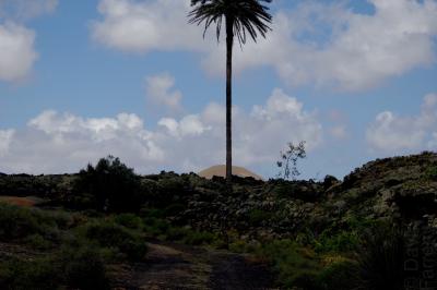 photograph “V.2016 — Lancerotte, 27” par David Farreny — www.farreny.net — Espagne, Spain, España, Canaries, Canary, Canarias, Lanzarote, Lancerotte, île, island, volcan, volcano, montagne, mountain, lave, lava, rochers, rocks, palmier, palm tree, arbre, tree, nuages, clouds, Masdache, paysage, landscape, nature