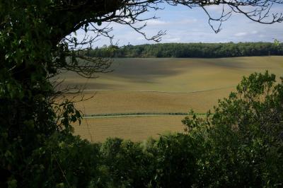 photograph “X.2020 — Life outside the wagecage” par David Farreny — www.farreny.net — France, automne, autumn, fall, campagne, countryside, nature, paysage, landscape, arbre, tree, chêne, oak, arbres, trees, champ, field, bois, wood, colline, hill, route, road, feuilles, leaves, feuillage, foliage, Occitanie, Gascogne, Gers, Lavardens