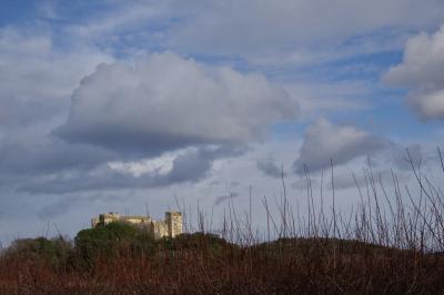 photograph “XII.2020” par David Farreny — www.farreny.net — France, Occitanie, Gard, La Capelle-et-Masmolène, hiver, winter, campagne, countryside, château, castle, paysage, landscape, branches, ciel, sky, tour, tower, nuages, clouds
