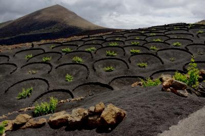 photograph “V.2016 — Lancerotte, 12” par David Farreny — www.farreny.net — Espagne, España, Spain, Canaries, Canarias, Canary, Lanzarote, Lancerotte, île, island, La Geria, rochers, rocks, volcan, volcano, vignes, vines, vineyards, lave, lava, murets, low walls, zocos, demi-cercles, semicircles, noir, black, montagne, montain, sommet, summit, top