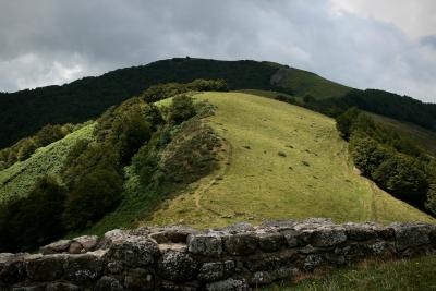 photograph “VIII.2010” par David Farreny — www.farreny.net — France, Auvergne, Massif central, Cantal, montagne, mountain, paysage, landscape, arbres, trees, nuages, clouds, mur, wall, muret, low wall, chemin, path, vert, green, pierre, stone, bois, woods