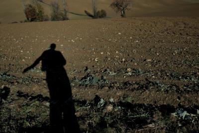 photograph “XI.2017 — Memories of Gascony” par David Farreny — www.farreny.net — France, Occitanie, Gascogne, Gers, Valence-sur-Baïse, campagne, countryside, automne, fall, autumn, champ, field, terre, earth, sol, soil, arbres, trees, ombre, shadow, cailloux, stones, colline, hill, semeur, sower