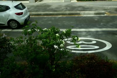 photograph “IV.2024 — 30” par David Farreny — www.farreny.net — France, Occitanie, Haute-Garonne, Toulouse, rue, street, bitume, blacktop, asphalte, asphalt, voiture, car, haie, hedge, trottoir, pavement, pierre, stone, métal, metal, signe, sign, routier, roadsign, limitation de vitesse, speed limit, 30, km/h, nombre, number, peinture, paint, cercle, circle, ligne, line, fleurs, flowers