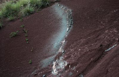 photograph “VI.2009” par David Farreny — www.farreny.net — France, terre, roc, rocher, earth, rock, trace, herbe, grass, Occitanie, Aveyron, Rouergue, Balsac
