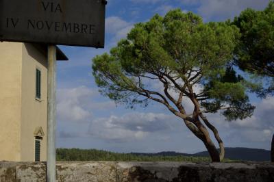 photograph “X.2019 — November, 4th” par David Farreny — www.farreny.net — Italie, Italia, Italy, Toscane, Toscana, Tuscany, Sienne, Siena, Chianti, Castellina in Chianti, paysage, landscape, muret, low wall, pierre, stone, maison, house, classique, classic, classical, panneau, routier, sign, roadsign, rue, street, via IV Novembre, rue du 4-Novembre, Journée de l'Unité nationale, Journée des Forces armées, Giorno dell'Unità Nazionale, Festa delle Forze Armate, pin, pin parasol, pine, umbrella pine, arbre, tree, nuages, clouds, capitales, romaines, Roman square capitals, métal, metal, forest, forêt, colline, hill, nature, fenêtres, windows, volets, shutters, bois, wood, persiennes