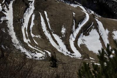 photograph “II.2023 — Roads” par David Farreny — www.farreny.net — Andorre, Andorra, Canillo, montagne, mountain, pente, slope, chemin, path, virages, bends, neige, snow, hiver, winter, raide, steep, route, road, voiture, car, arbres, trees, branches, prairie, meadow, nature