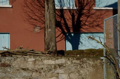 photograph “II.2015” par David Farreny — www.farreny.net — France, maison, house, arbre, tree, tronc, trunk, mur, wall, pierre, stone, branches, ombre, shadow, fenêtres, windows, volets, shutters, métal, metal, portail, gate, Occitanie, Aveyron, Rouergue, Olemps