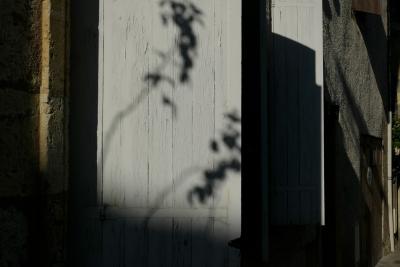 photograph “I.2020” par David Farreny — www.farreny.net — France, maison, house, hiver, winter, volets, shutters, bois, wood, pierre, stone, ombre, shadow, branches, mur, wall, rue, street, garage, portail, gate, gouttière, drainpipe, Occitanie, Gascogne, Gers, Condom