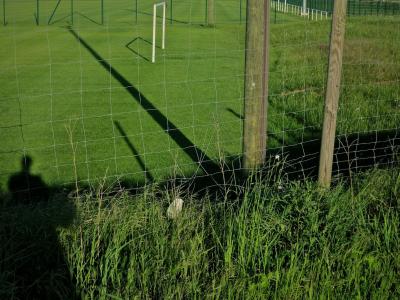 photograph “V.2012 — Municipal achievements, 3. Sports equipment” par David Farreny — www.farreny.net — France, terrain, pitch, field, ground, football, soccer, herbe, grass, pelouse, lawn, clôtures, grillages, fences, fencing, poteaux, posts, bois, wood, métal, metal, but, goal, cage, ombres, shadows, ville, city, Occitanie, Aveyron, Rouergue, Olemps