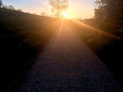 photograph “IV.2017 — Where you are not” par David Farreny — www.farreny.net — France, Occitanie, Gascogne, Gascony, Gers, Jegun, printemps, spring, springtime, soir, evening, campagne, countryside, chemin, path, arbres, trees, champ, field, pierre, stone, herbe, grass, pissenlits, dandelions, soleil, sun, coucher, sunset, lumière, light, absence