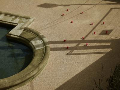 photograph “III.2017” par David Farreny — www.farreny.net — France, bassin, basin, fontaine, fountain, pierre, stone, terre battue, beaten earth, champignons, mushrooms, plastique, plastic, rouge, red, ombres, shadows, eau, water, branches, clôture, fence, Occitanie, Gascogne, Gers, Auch