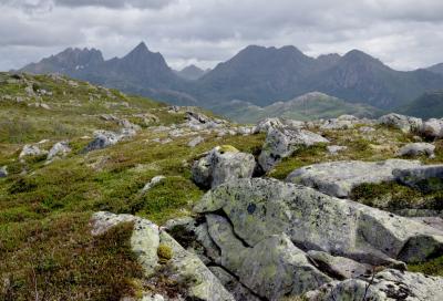 photograph “VII.2017 — Run away to the North, 132” par David Farreny — www.farreny.net — Norvège, Norway, Norge, Norvège du Nord, Nord-Norge, Nordland, Vesterålen, Røsnes, Bø, Guvåg, paysage, landscape, montagne, mountain, pics, sommets, peaks, rochers, rocks, herbe, grass