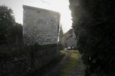 photograph “I.2025” par David Farreny — www.farreny.net — France, Occitanie, Gascogne, Gascony, Lomagne, Gers, Saint-Clar, village, ruelle, alley, rue, street, bitume, blacktop, asphalte, asphalt, humidité, moisture, haie, hedge, feuilles, leaves, feuillage, foliage, maisons, houses, pierre, stone, mur, wall, muret, low wall, jardin, garden, arbuste, shrub, église, church, clocher, bell tower, soleil, sun, hiver, winter, toit, roof, tuiles, tiles, voitures, cars, métal, metal, fenêtres, windows, branches
