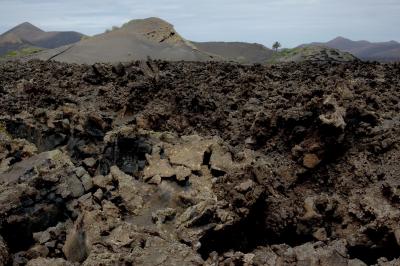 photograph “V.2016 — Lancerotte, 72” par David Farreny — www.farreny.net — Espagne, Spain, España, Canaries, Canarias, Canary, Lanzarote, Lancerotte, île, island, volcans, volcanoes, montagnes, mountains, paysage, landscape, lave, lava, rochers, rocks, arbre, tree, palmier, palm tree