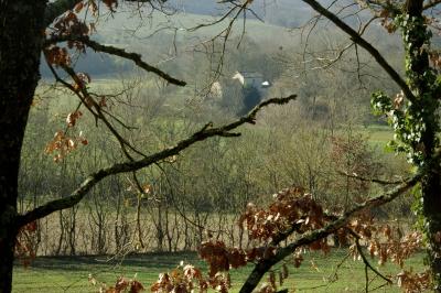 photograph “I.2025 — Faces of home, 274” par David Farreny — www.farreny.net — France, Occitanie, Gascogne, Gascony, Lomagne, Gers, campagne, countryside, paysage, landscape, hiver, winter, ferme, farm, maison, house, arbres, trees, branches, branchages, feuilles, leaves, mortes, dead, lierre, ivy, troncs, trunks, toit, roof, champs, fiels, pré, prairies, meadows, domicile, home