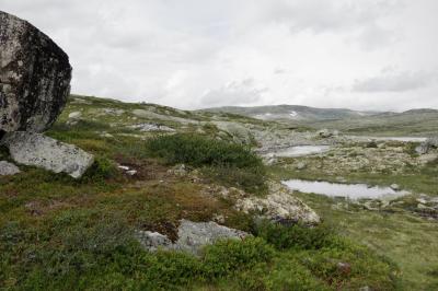 photograph “VIII.2014 — Run away to the North, 80” par David Farreny — www.farreny.net — Norvège, Norway, Norge, Hardangervidda, Buskerud, Halne, plateau, paysage, landscape, rochers, rocks, collines, hills, herbe, grass, vide, empty, emptiness, espace, space, mares, ponds, eau, water, nuages, clouds