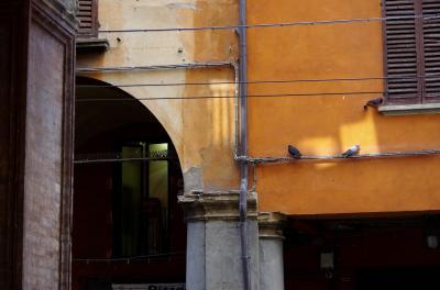 photograph “X.2019” par David Farreny — www.farreny.net — Italie, Italia, Italy, Émilie-Romagne, Emilia-Romagna, Bologne, Bologna, ville, city, immeuble, bâtiment, building, arcade, arc, arch, arche, fenêtres, windows, pigeons, oiseaux, birds, animaux, animals, câbles, cables, fils, wires, gouttière, drainpipe, lumière, light, volets, shutters, bois, wood, brique, brick, mur, wall, orange, soleil, sun, métal, metal