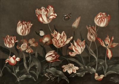 photograph “« Stilleben med tulpaner » (« Still life with tulips »), Johannes Bosschaert (1608-1728)” par David Farreny — www.farreny.net — Suède, Sweden, Sverige, Uppland, Södermanland, Stockholm, Nationalmuseum, Musée national, art, tableau, painting, peinture, Stilleben med tulpaner, Nature morte aux tulipes, Still life with tulips, Johannes Bosschaert, XVIIe siècle, 17th century, fleurs, flowers, tulipes, tulips, papillons, butterflies, grenouille, frog, insectes, insects