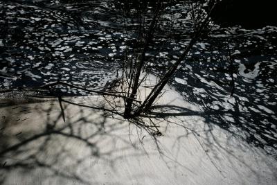 photograph “IV.2011” par David Farreny — www.farreny.net — France, rivière, river, eau, water, arbre, tree, branches, ombres, shadows, mousse, écume, foam, courant, stream, profusion, Occitanie, Rouergue, Aveyron, Gers, Lespinassolle, Crespin
