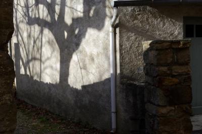 photograph “XII.2020” par David Farreny — www.farreny.net — France, Occitanie, Gard, Saint-Sébastien-d'Aigrefeuille, Carnoulès, village, angle, coin, corner, mur, wall, ciment, cement, gouttière, gutter, drainpipe, pierre, stone, ruelle, alley, arbre, tree, ombre, shadow, hiver, winter, gris, grey, gray, branches, porte, door