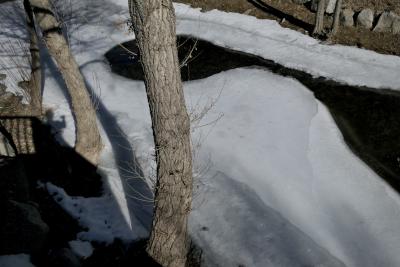 photograph “II.2023” par David Farreny — www.farreny.net — Andorre, Andorra, Canillo, rivière, river, Valira, Valira d'Orient, eau, water, glace, ice, froid, cold, trou, hole, arbres, trees, troncs, trunks, rive, shore, branches, ombre, shadow, autoportrait, self, portrait, photographe, photographer, rochers, rocks, rambarde, guardrail