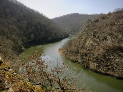 photograph “III.2012 — Somewhere with meander” par David Farreny — www.farreny.net — France, rivière, river, méandre, meander, collines, hills, arbres, trees, hiver, winter, eau, water, verte, vert, green, paysage, landscape, rocher, rock, branches, Occitanie, Tarn, Tanus, Viaur