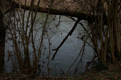 photograph “III.2015” par David Farreny — www.farreny.net — France, rivière, river, eau, water, rive, shore, bank, arbres, trees, branches, profusion, tronc, trunk, nature, hiver, winter, bois, wood, Occitanie, Aveyron, Rouergue, Olemps
