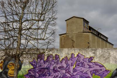 photograph “III.2021” par David Farreny — www.farreny.net — France, usine, factory, mur, wall, béton, concrete, arbre, tree, graffiti, tags, fresque, fresco, peinture, painting, singe, monkey, chimpanzé, chimpanzee, chimp, animal, œil, eye, violet, purple, tronc, trunk, nuages, clouds, abandonné, abandoned, tête, head, portrait, Occitanie, Gascogne, Gers, Éauze