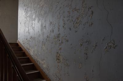 photograph “V.2015 — Vita nuova” par David Farreny — www.farreny.net — France, escalier, stairs, staircase, marches, steps, bois, wood, mur, wall, peinture, paint, écaillée, chipped, flaking, rampe, banister, hôpital, hospital, abandonné, abandoned, Occitanie, Aveyron, Rouergue, Rodez