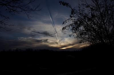 photograph “I.2014” par David Farreny — www.farreny.net — France, Occitanie, Aveyron, Rouergue, Olemps, soir, evening, hiver, winter, ciel, sky, nuages, clouds, soleil, sun, traînée, contrail, condensation, avion, plane, vol, flight, arbres, trees, branches, feuillage, foliage, feuilles, leaves, chevaux, horses, animaux, animals, champ, field, prairie, meadow, bois, wood, nature