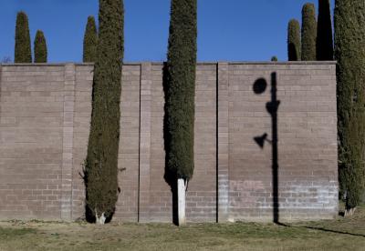 photograph “II.2023” par David Farreny — www.farreny.net — Espagne, España, Espanya, Spain, Catalogne, Cataluña, Catalunya, Lleida, Lérida, Alt Urgell, La Seu d'Urgell, ville, city, cloître, cloister, moderne, modern, claustre modern, parc del Valira, cyprès, cypresses, arbres, trees, mur, wall, brique, brick, ombre, shadow, poteau, post, pole, herbe, grass, lampes, lamps