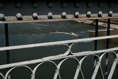photograph “IV.2010” par David Farreny — www.farreny.net — France, Occitanie, Haute-Garonne, Villemur-sur-Tarn, Tarn, rivière, river, pont, bridge, métal, metal, rivets, barrière, garde-fou, guardrail, eau, water, branche, branch, bois, wood, driftwood, flotté, rive, bank, courant, stream, acier, steel, rouille, rust, rusty