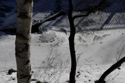 photograph “I.2023” par David Farreny — www.farreny.net — Andorre, Andorra, Canillo, rivière, river, Valira, Valira d'Orient, hiver, winter, glace, ice, eau, water, arbres, trees, troncs, trunks, rambarde, guardrail, ombre, shadow, trous, holes, branches