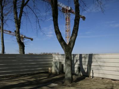 photograph “II.2012” par David Farreny — www.farreny.net — France, chantier, construction, site, arbres, trees, grues, cranes, palissade, boarding, métal, metal, tôle ondulée, corrugated iron, jardin, public, garden, parc, park, ville, city, Occitanie, Aveyron, Rouergue, Rodez