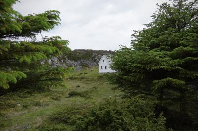 photograph “VI.2019 — Run away to the North, 192. Hordaland (det.)” par David Farreny — www.farreny.net — Norvège, Norway, Norge, Hordaland, Austevoll, Stolmen, Våge, île, island, maison, house, blanche, white, bois, wood, rochers, rocks, isolé, isolated, arbres, trees, sapins, firs, fir, paix, peace, paysage, landscape, refuge, fenêtres, windows, herbe, grass, solitude