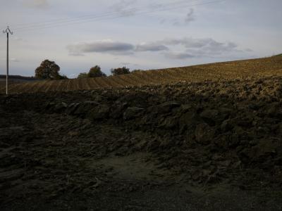 photograph “XI.2016” par David Farreny — www.farreny.net — France, champ, field, terre, earth, sol, soil, labours, ploughed, plowed, paysage, landscape, nuages, clouds, sillons, furrows, poteau, électrique, electricity, pole, fils, wires, câbles, cables, arbres, trees, hiver, winter, Occitanie, Gascogne, Gers, Jegun