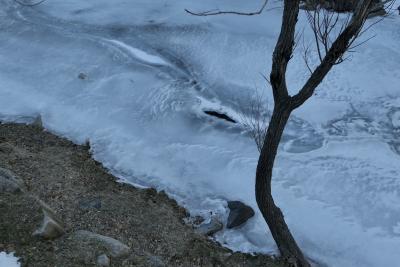 photograph “II.2023” par David Farreny — www.farreny.net — Andorre, Andorra, Canillo, rivière, river, Valira, Valira d'Orient, hiver, winter, eau, water, glace, ice, trou, hole, arbre, tree, tronc, trunk, rive, shore, rochers, rocks, nature, neige, snow, branches