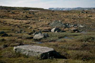 photograph “VII.2012 — Run away to the North, 16. Carried by the stones” par David Farreny — www.farreny.net — Norvège, Norway, Norge, Hardangervidda, Buskerud, Fagerheim, Halne, plateau, paysage, landscape, rochers, rocks, pierres, stones, neige, snow, herbe, grass, montagne, mountain, bloc, blocks, pierre, stone, eau, water, flaques, puddles, vide, emptiness, profusion