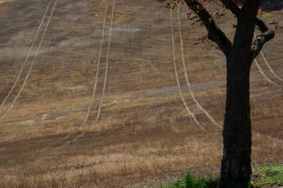 photograph “IX.2015” par David Farreny — www.farreny.net — France, champ, field, campagne, countryside, automne, autumn, fall, arbre, tree, sillons, furrows, traces, tracks, Occitanie, Gascogne, Gers, Jegun