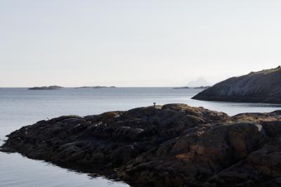 photograph “VII.2014 — Run away to the North, 239” par David Farreny — www.farreny.net — Norvège, Norge, Norway, Norvège du Nord, Nordland, Lofoten, Vågan, Henningsvær, mer, sea, rochers, rocks, îles, islands, eau, water, montagnes, mountains, horizon, nature, paysage, landscape, marin, seascape